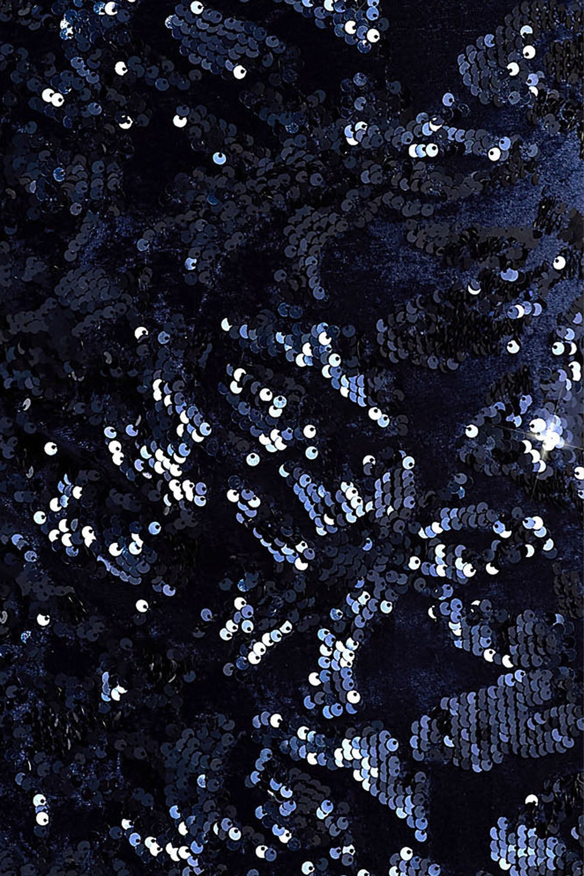 uploaded_image_2_euxt5